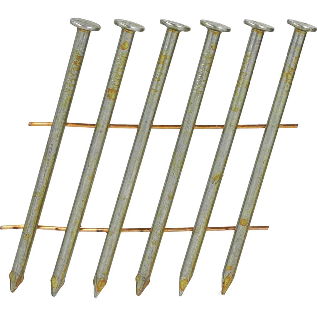 Clous en rouleau plats 16° lisses clair ED21APBH 2,3x50 mm SENCO — Clous SENCO 2.3 x 50 mm lisses finition claire, gros plan sur les tiges lisses et les têtes plates