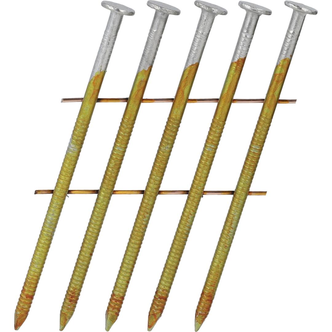 Clous en rouleau plats 16° annelés galvanisés à chaud BL22ASBF 2,5x55 mm SENCO — Clous SENCO 2.5 x 55 mm annelés galvanisés à chaud, gros plan sur les têtes argentées et l'annelage doré