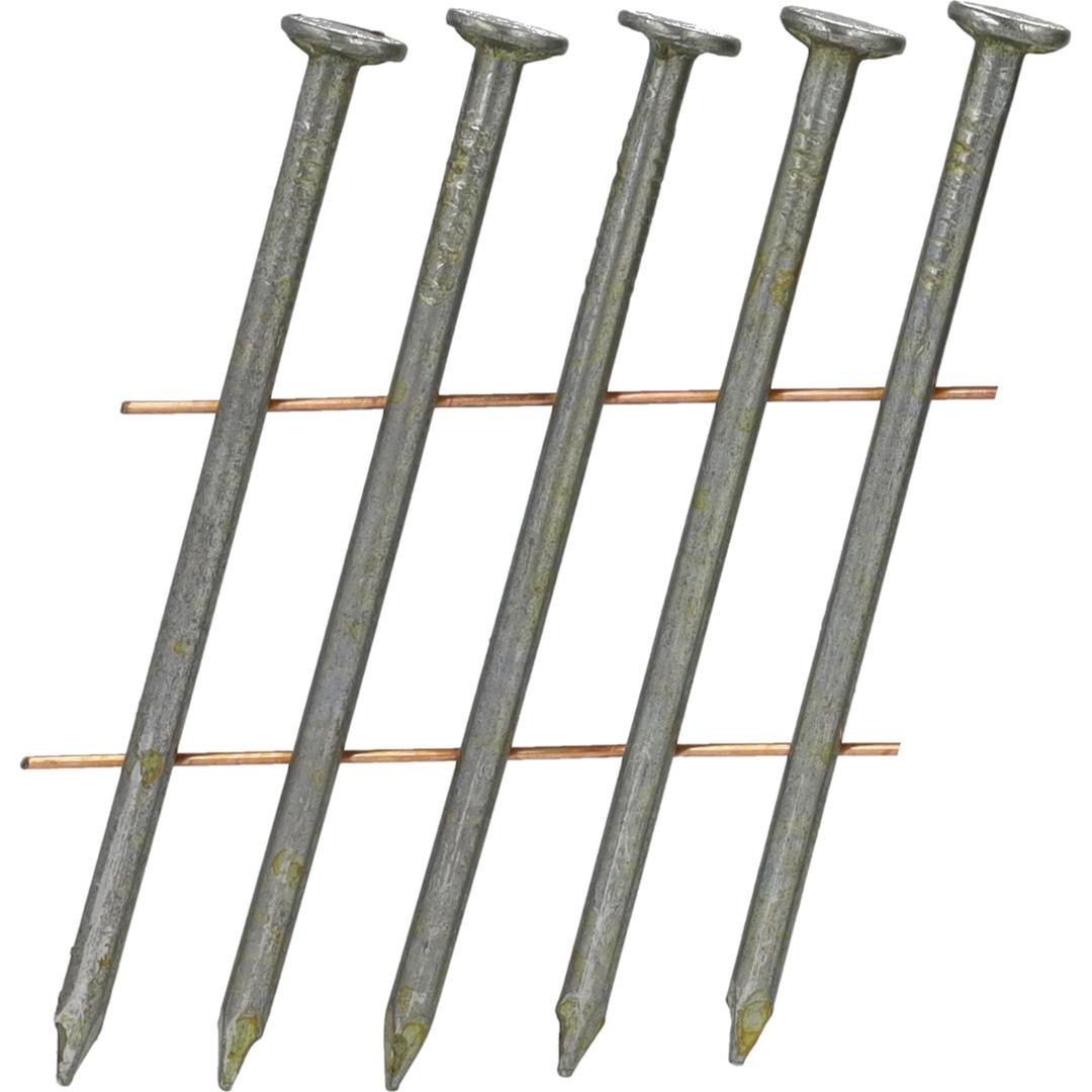 Clous en rouleau plats 16° lisses clair BJ24APBF 2,5x60 mm SENCO — Clous SENCO 2.5 x 60 mm lisses finition claire, gros plan sur les tiges lisses et les têtes plates