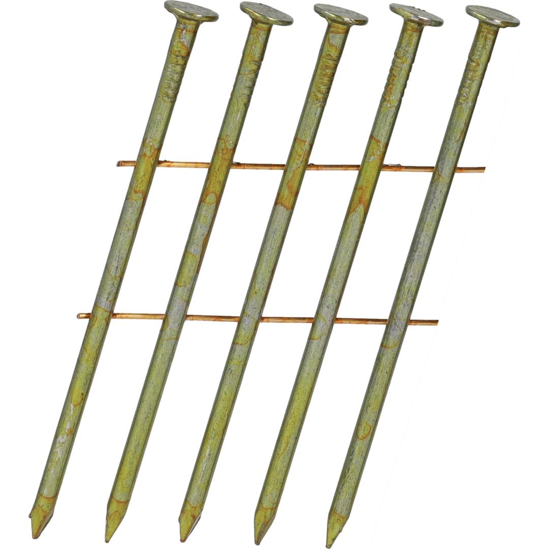 Clous en rouleau plats 16° lisses clair BD25APBF 2,5x65 mm SENCO — Clous SENCO 2.5 x 65 mm lisses finition claire, gros plan sur cinq tiges lisses, têtes plates et pointes biseautées