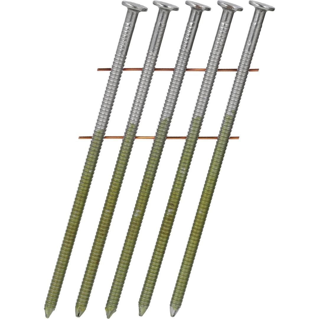 Clous en rouleau plats 16° annelés clair HL28APBF 3,1x80 mm SENCO — Clous SENCO 3,1 x 80 mm annelés finition claire, gros plan sur cinq clous à têtes plates
