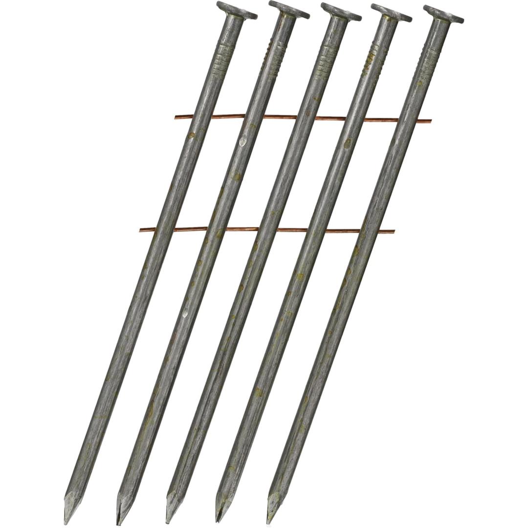 Clous en rouleau plats 16° lisses clair HD31APBF 3,1x100 mm SENCO — Clous SENCO 3,1 x 100 mm lisses clairs, gros plan sur cinq tiges à pointes biseautées