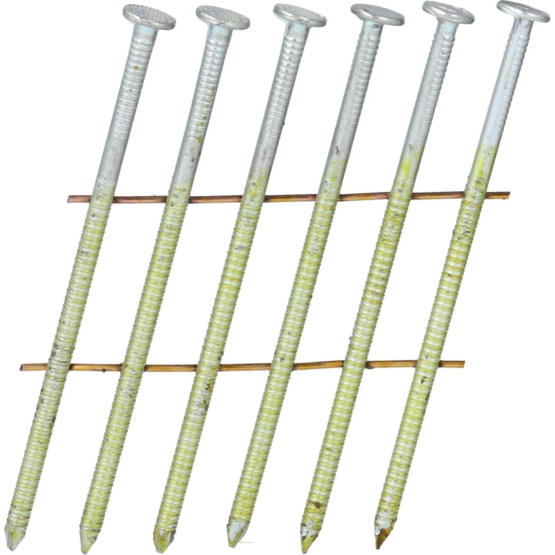 Clous en rouleau plats 16° annelés zingués 12µ SL17AXBH 2,1x38 mm SENCO — Clous SENCO 2,1 x 38 mm zingués, têtes striées et pointes diamant en gros plan sur fond blanc
