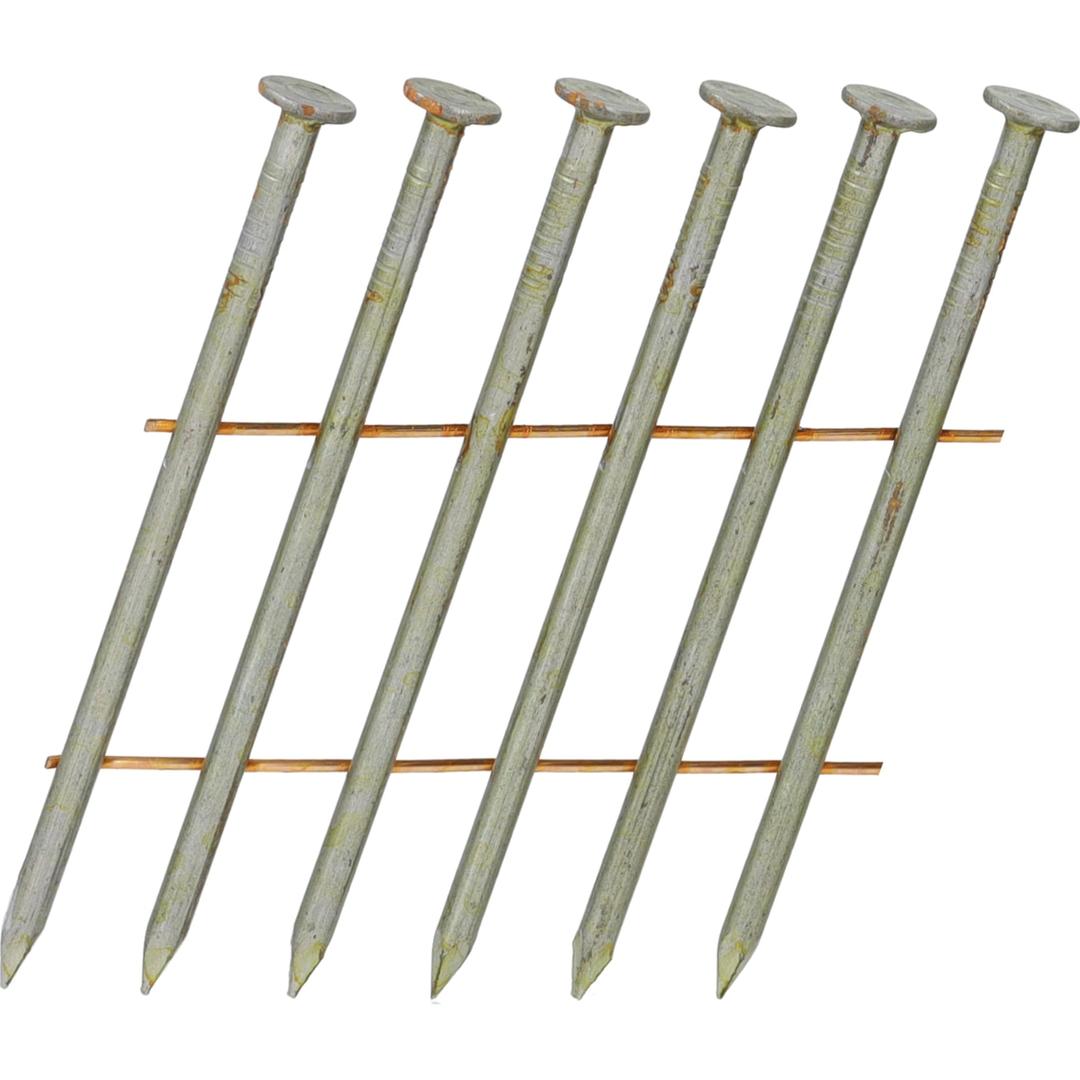 Clous en rouleau plats 16° lisses clair SD21APBH 2,1x50 mm SENCO — Clous SENCO 2,1 x 50 mm à tige lisse gris clair et pointes taillées, en gros plan