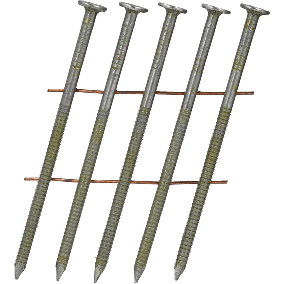 Clous en rouleau plats 16° annelés clair BL21APBFN 2,5x50 mm SENCO — Clous SENCO 2,5 x 50 mm annelés à têtes plates larges et pointes biseautées, en gros plan