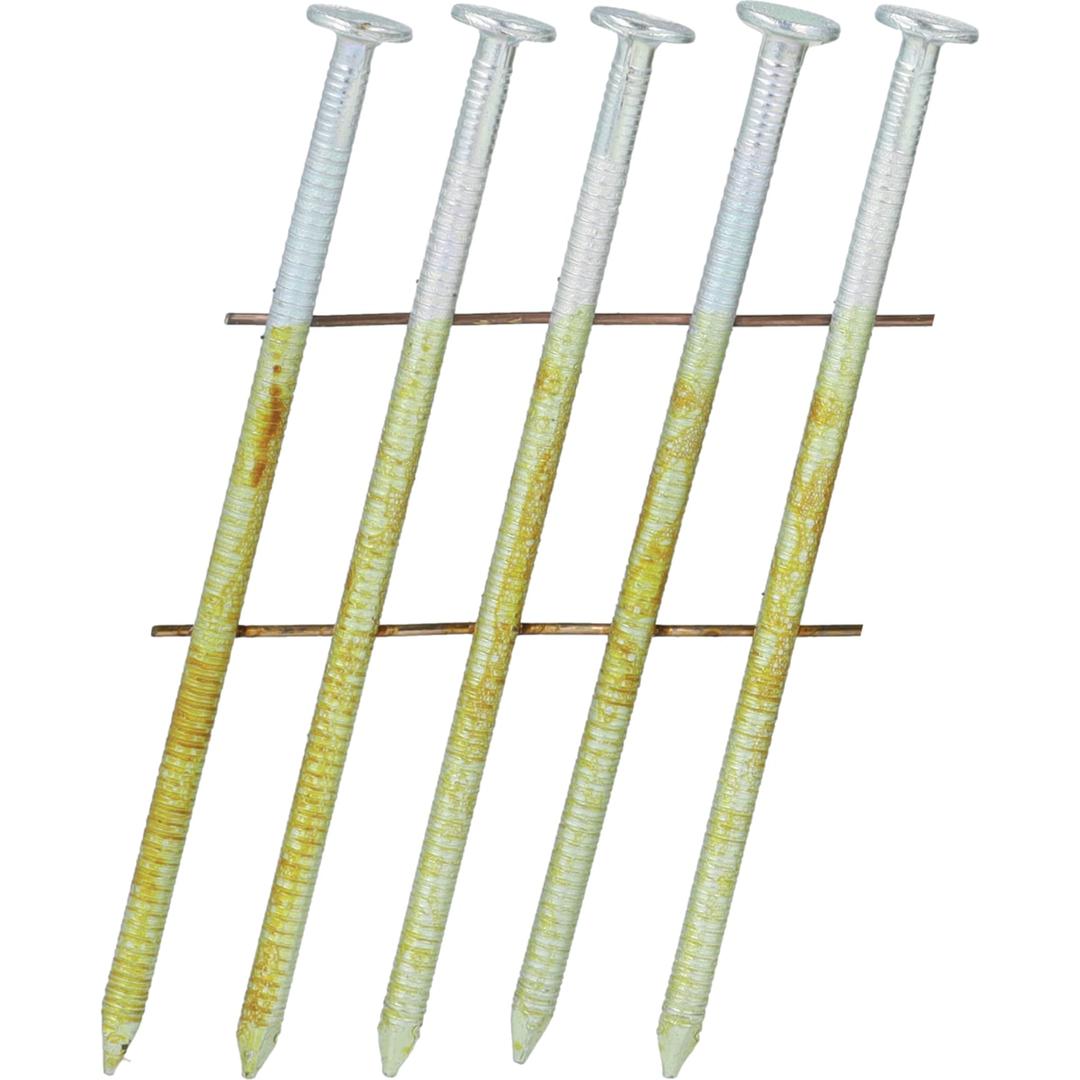 Clous en rouleau plats 16° annelés zingués 12µ BL25AXBF 2,5x65 mm SENCO — Clous SENCO 2,5 x 65 mm zingués à têtes plates argentées, en gros plan sur fond blanc