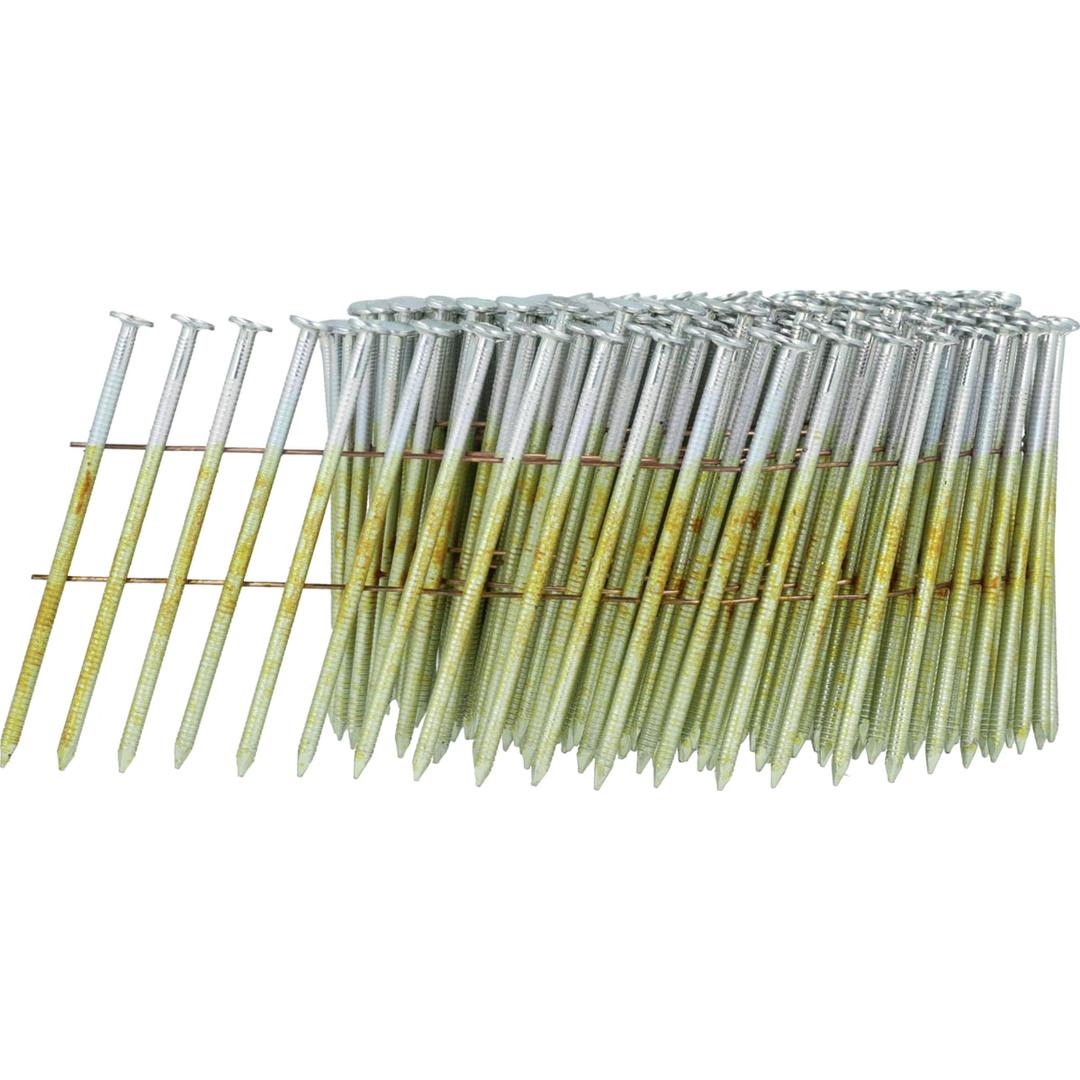 Clous en rouleau plats 16° annelés zingués 12µ BL26AXBF 2,5x70 mm SENCO — Rouleau de clous SENCO 2,5 x 70 mm annelés zingués, amorce déroulée sur fond blanc