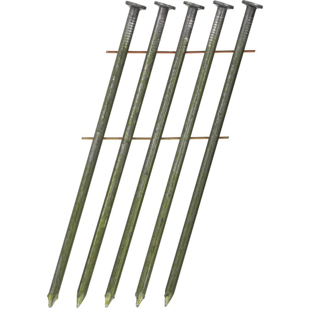 Clous en rouleau plats 16° lisses clair MD36APBE 3,8x130 mm SENCO — Clous SENCO 3,8 x 130 mm lisses sur deux fils cuivre, pointes claires, en gros plan