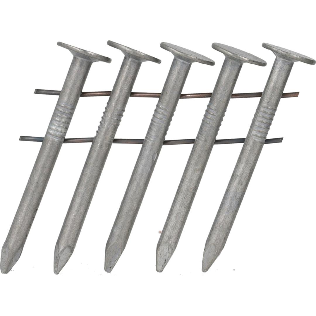 Clous en rouleau coniques 16° lisses galvanisés à chaud HJ19ASAVR 3,1x45 mm SENCO — Cinq clous SENCO 3,1x45 mm galvanisés à chaud en gros plan, larges têtes plates et fils de liaison