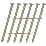 Clous en rouleau plats 16° lisses clair ED22APBH 2,3x55 mm SENCO — Clous SENCO 2.3 x 55 mm lisses finition claire, gros plan sur les tiges lisses et les têtes plates