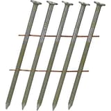 Clous en rouleau plats 16° annelés clair BL24APBF 2,5x60 mm SENCO — Clous SENCO 2.5 x 60 mm annelés finition claire, gros plan sur les têtes plates et les pointes biseautées