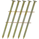 Clous en rouleau plats 16° lisses clair BD25APBF 2,5x65 mm SENCO — Clous SENCO 2.5 x 65 mm lisses finition claire, gros plan sur cinq tiges lisses, têtes plates et pointes biseautées