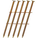 Clous en rouleau plats 16° annelés clair EL19APBH 2,3x45 mm SENCO — Clous SENCO 2,3 x 45 mm annelés sur presque toute la tige, têtes plates, en gros plan