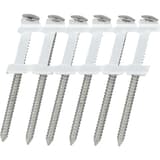 Clous en rouleau plats 16° annelés inox A2 BS21AGBC 2,5x50 mm SENCO — Clous SENCO inox 304 2,5 x 50 mm à annelage serré sur bande plastique à deux rails, gros plan