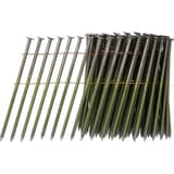 Clous en rouleau plats 16° annelés clair ML34APBE 3,8x120 mm SENCO — Rouleau de clous SENCO 3,8 x 120 mm annelés vert olive, sept clous déroulés sur fond blanc