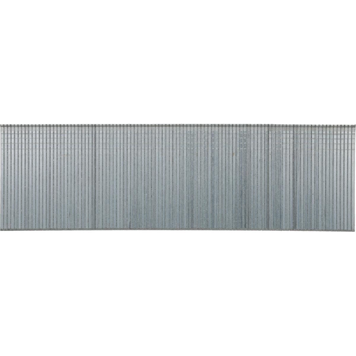 Brads AX17EAA 38 mm galvanisés vus de face, bande droite serrée, têtes alignées sur fond blanc