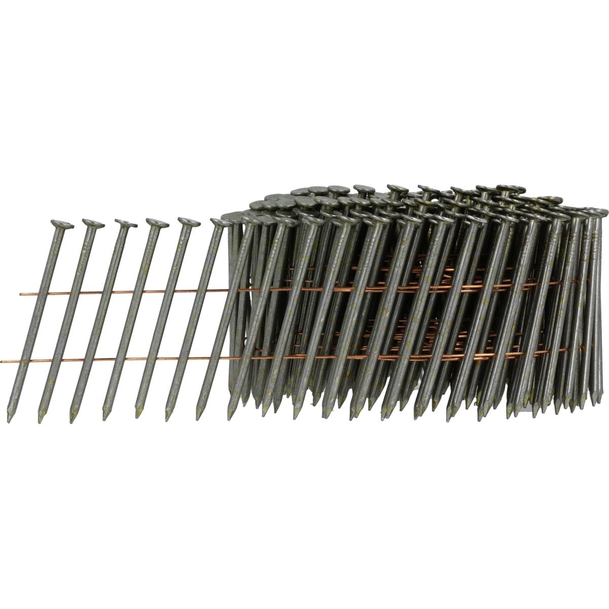 SENCO Clous 2.5 rouleau Plat 45 mm Lisse Clair P8 — packshot