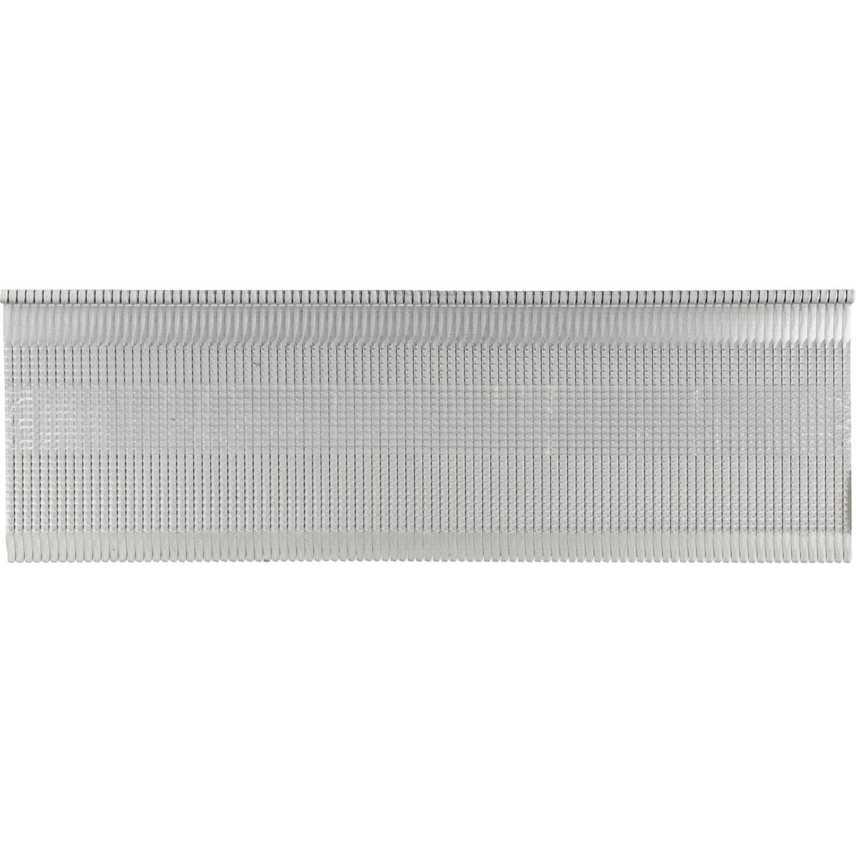Clous parquet SENCO 50 mm à têtes en L, bande compacte vue de face à plat sur fond blanc