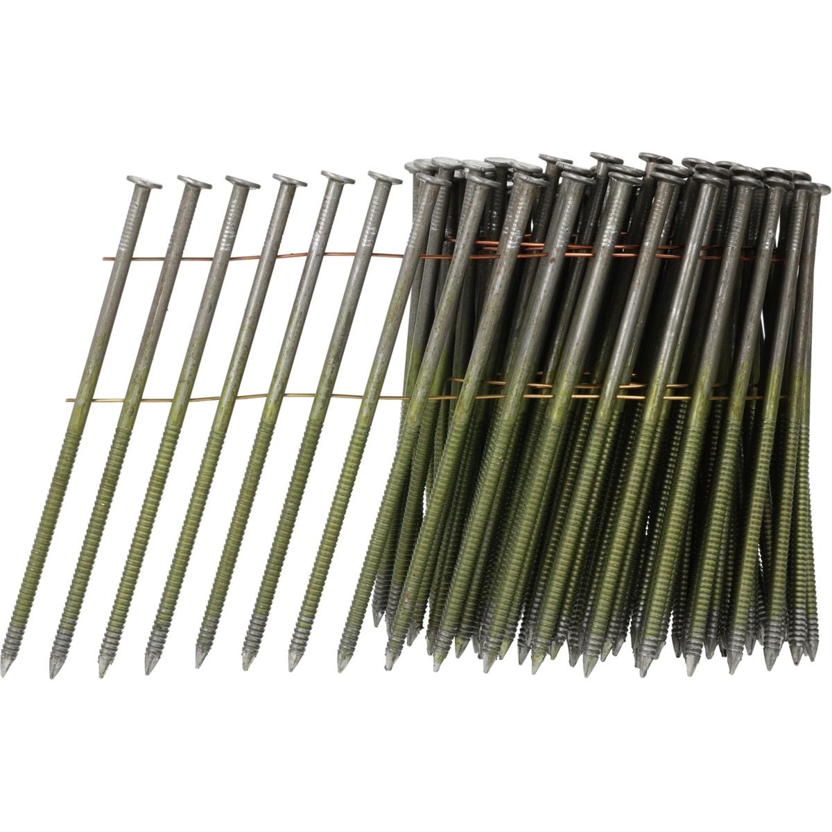 Rouleau de clous SENCO 3,8 x 120 mm annelés vert olive, sept clous déroulés sur fond blanc