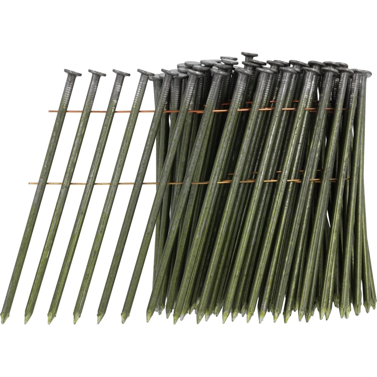 Rouleau de clous SENCO 3,8 x 130 mm à tige lisse vert olive, sept clous déroulés
