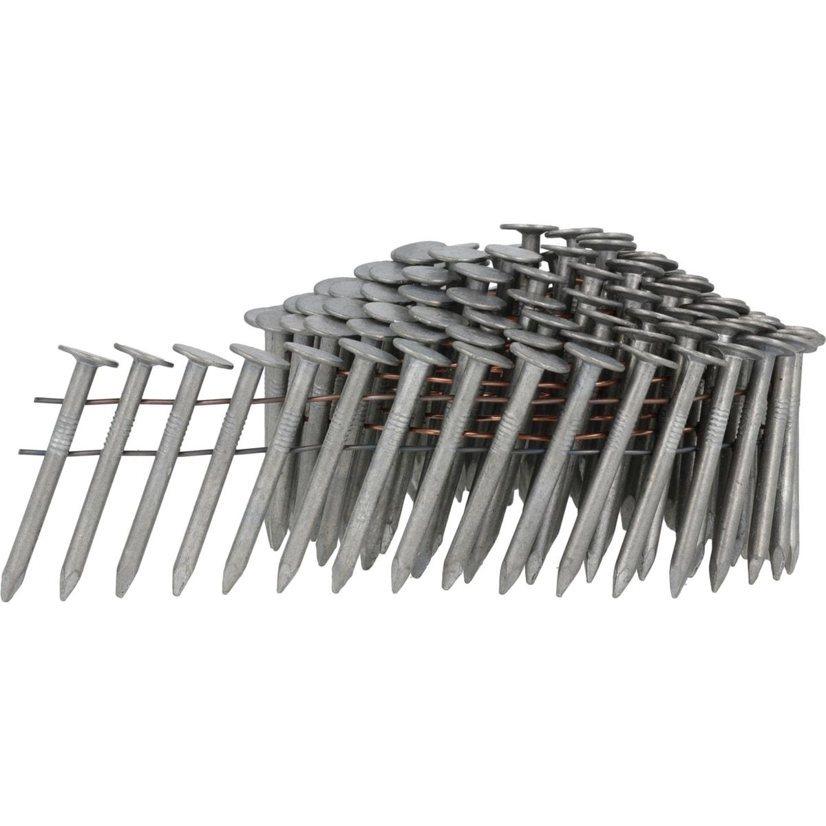 Clous en rouleau SENCO 3,1x32 mm galvanisés à chaud, larges têtes plates, de trois quarts sur fond blanc